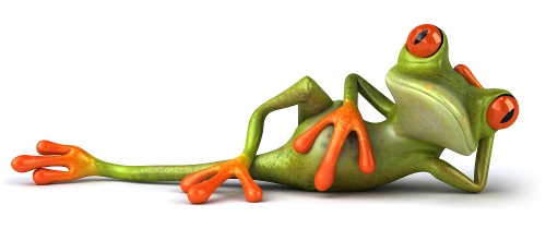 shutterstock_18460177_frog_lying_down_reclining