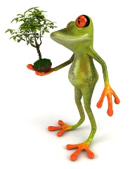 shutterstock_34299442-frog-tree-environment-plant