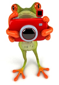 shutterstock_36612625_frog_photo_camera