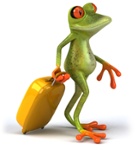 shutterstock_69371551-frog-suitcase-travel-800